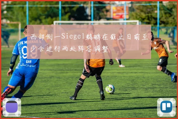 西部倒一Siegel鹈鹕在截止日前至少会进行两处阵容调整