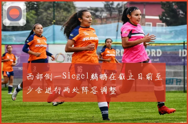 西部倒一Siegel鹈鹕在截止日前至少会进行两处阵容调整