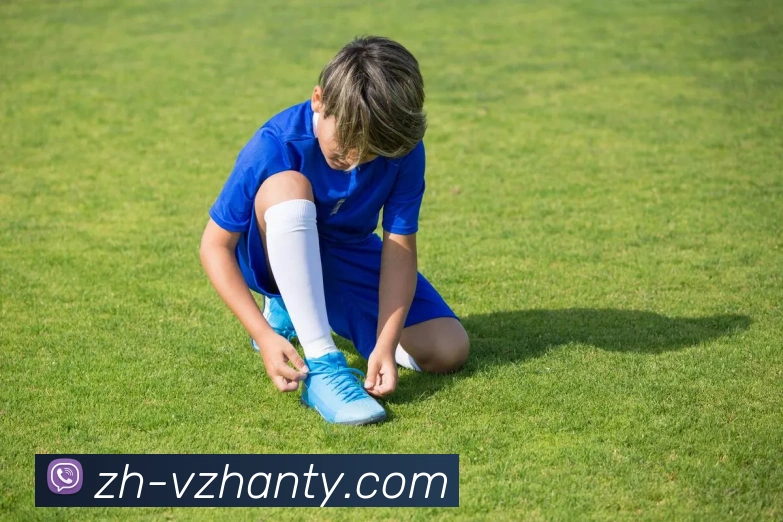 v站体育平台生态图